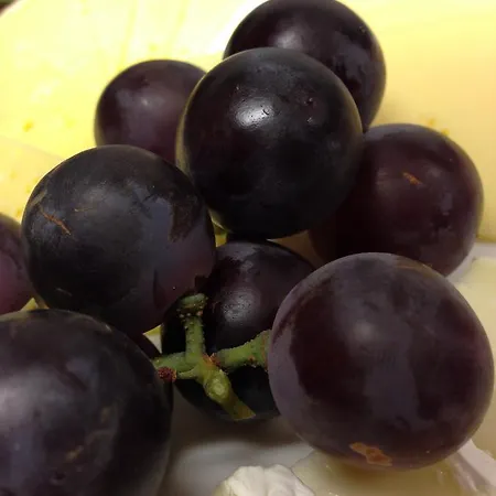 Hotel-pension Brandenburg 勃兰登堡