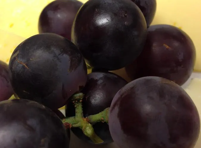 Hotel-pension Brandenburg Brandenburg (Brandenburg an der Havel)